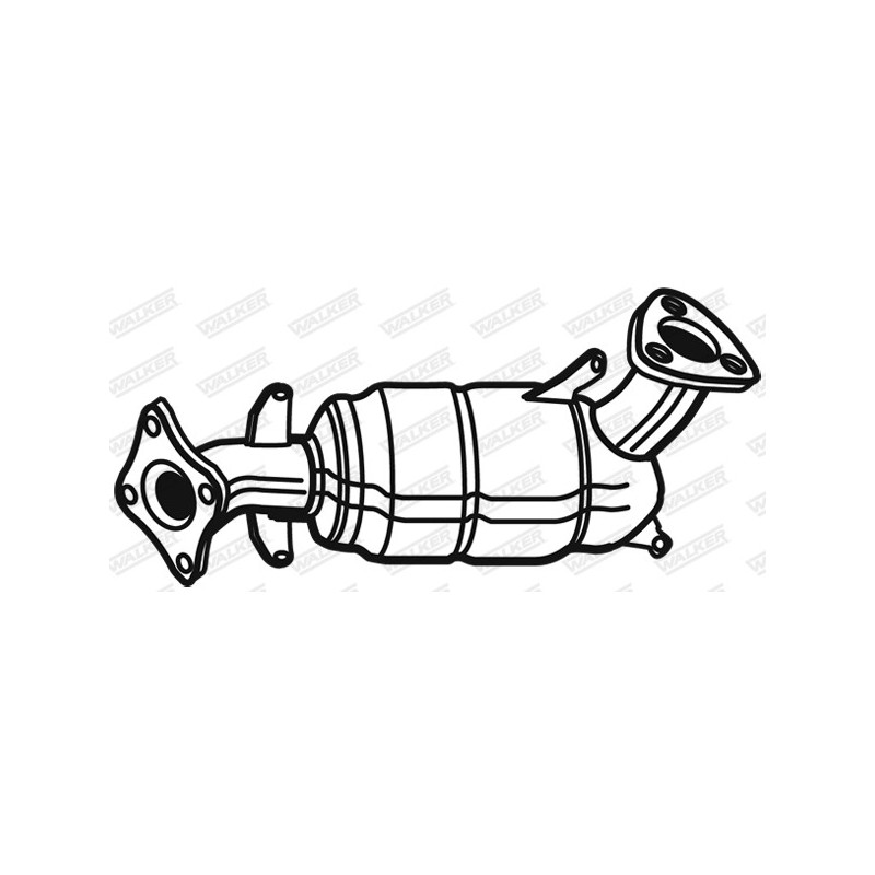 Catalyseur WALKER