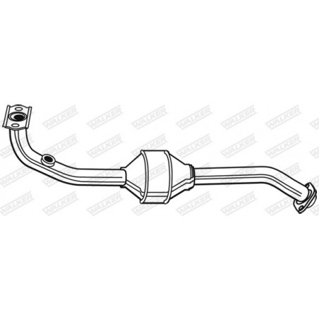Catalyseur WALKER