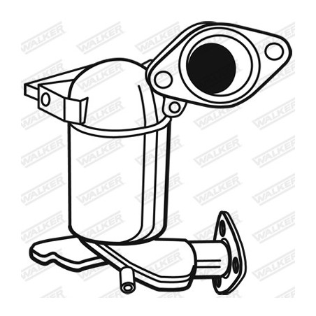 Catalyseur WALKER