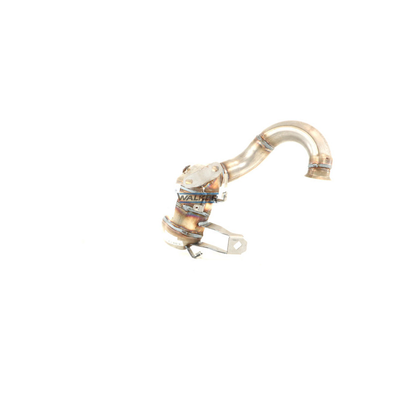 Précatalyseur WALKER