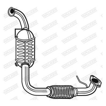 Catalyseur WALKER