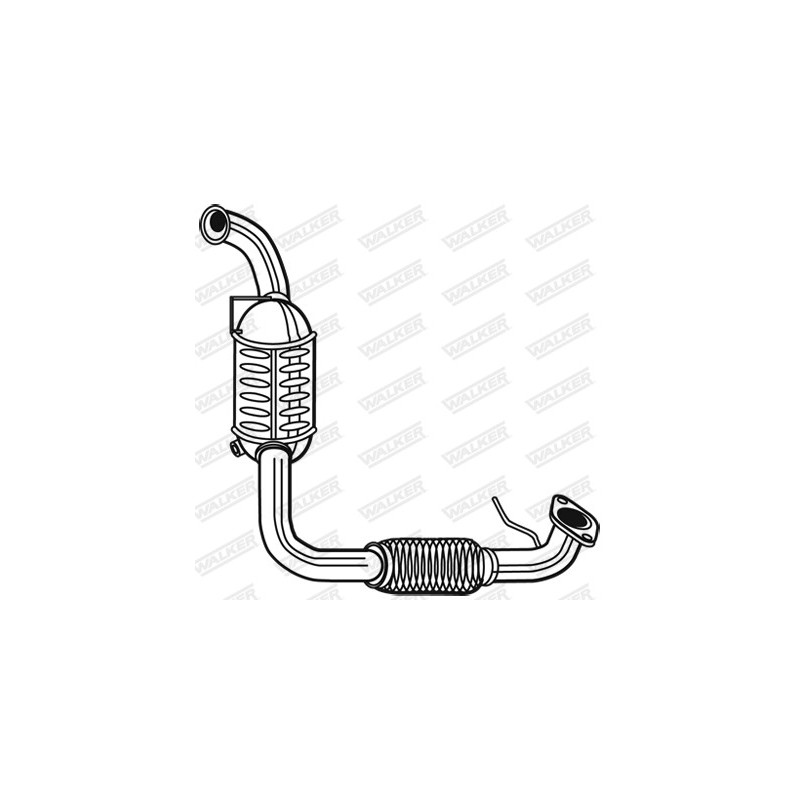 Catalyseur WALKER