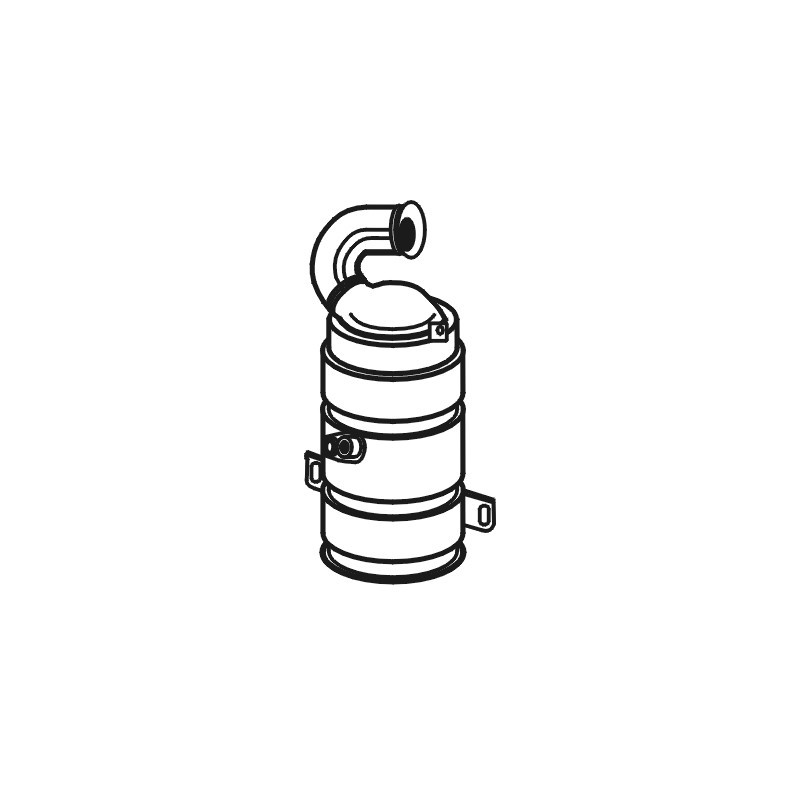 Catalyseur WALKER