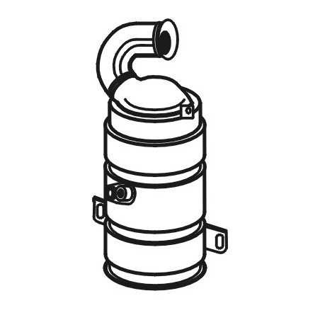 Catalyseur WALKER