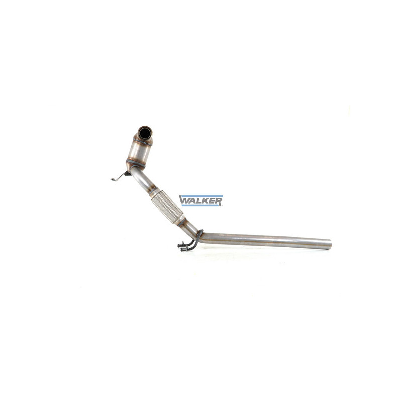 Catalyseur WALKER