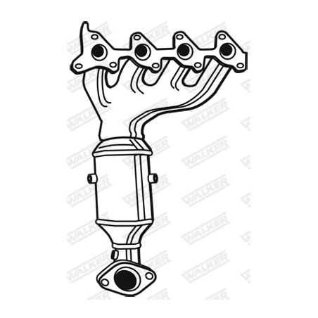 Catalyseur WALKER