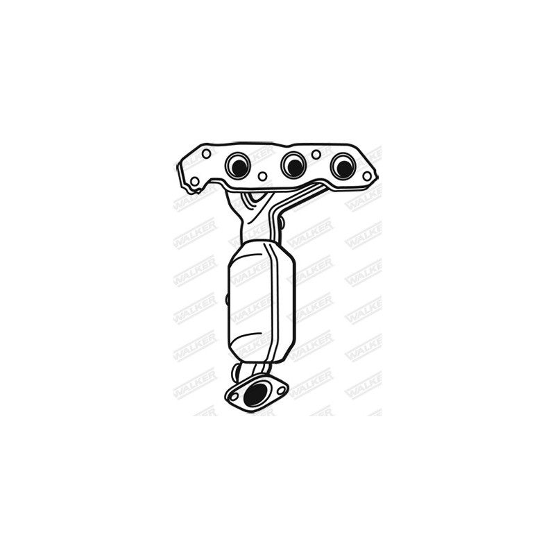 Catalyseur WALKER