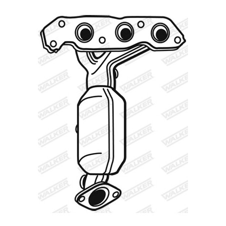 Catalyseur WALKER