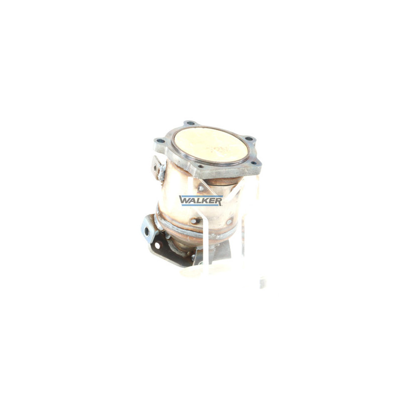 Catalyseur WALKER