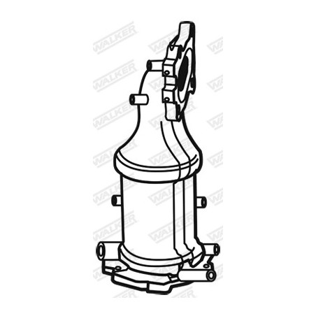 Catalyseur WALKER