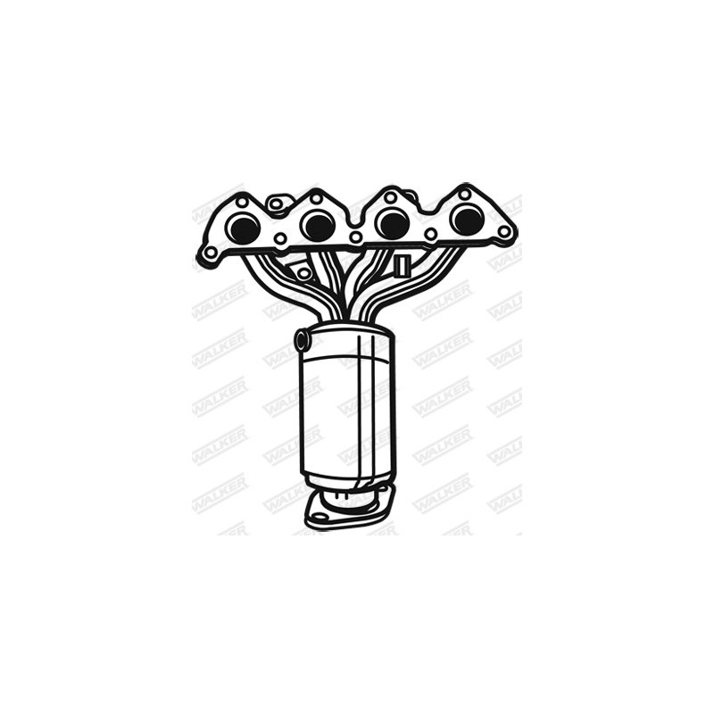 Catalyseur WALKER