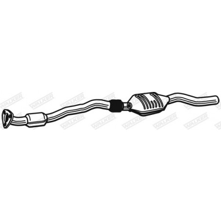 Catalyseur WALKER