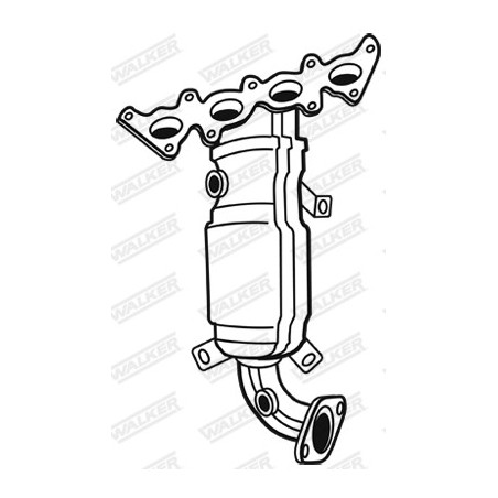 Catalyseur WALKER