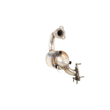 Catalyseur WALKER