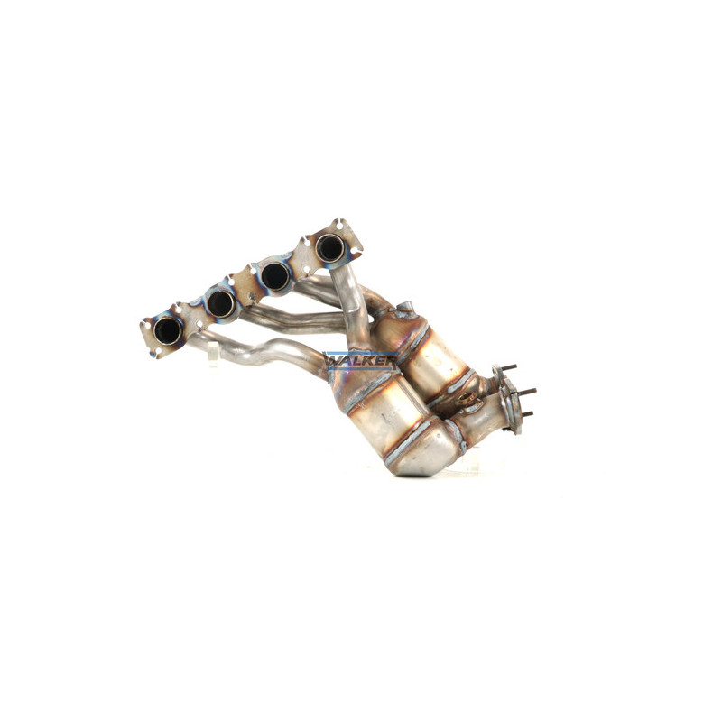 Catalyseur WALKER