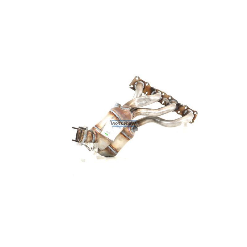 Catalyseur WALKER