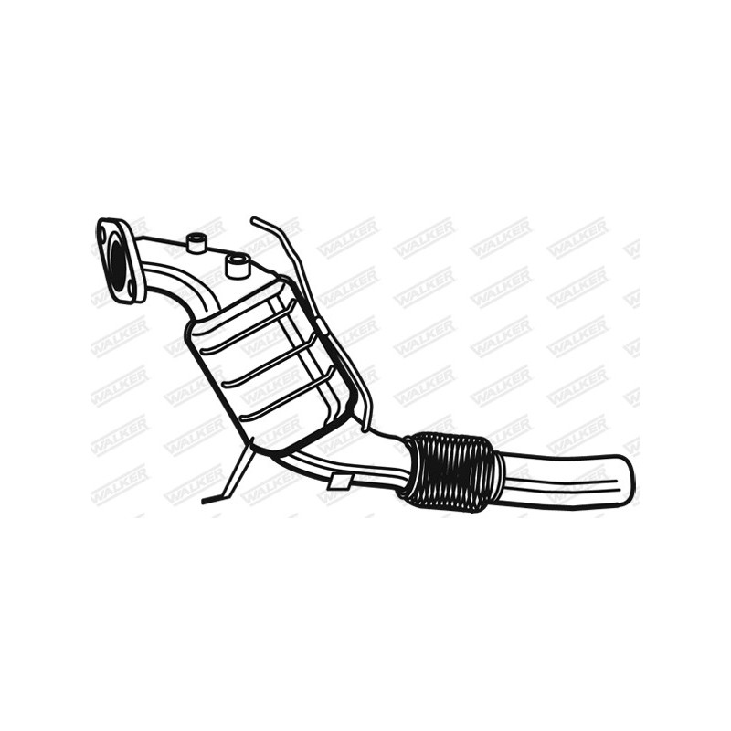 Catalyseur WALKER