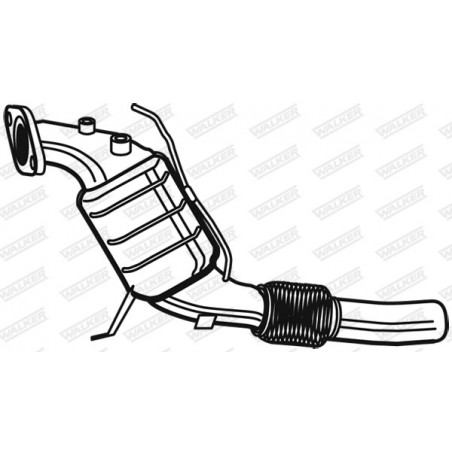 Catalyseur WALKER