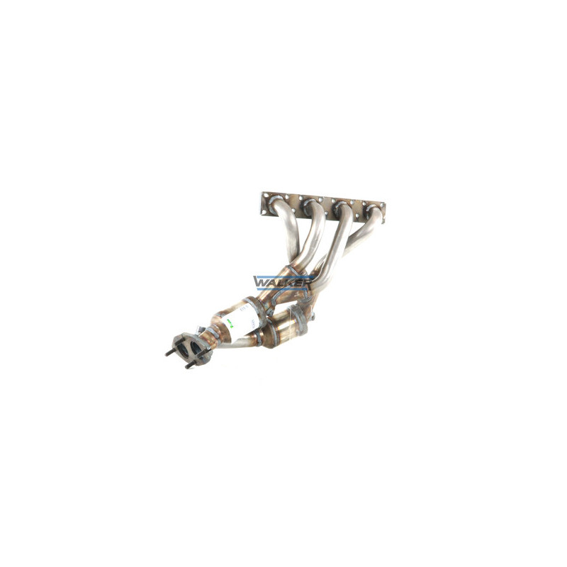 Catalyseur WALKER