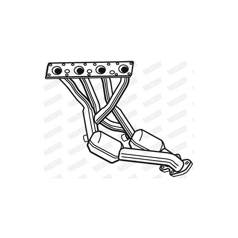 Catalyseur WALKER
