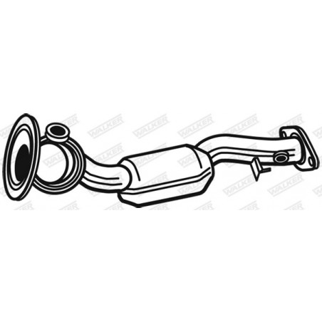 Précatalyseur WALKER