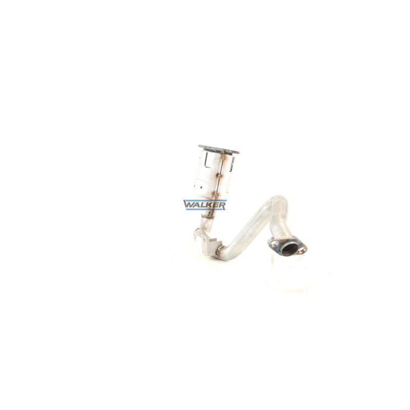Catalyseur WALKER