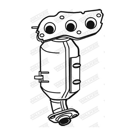 Catalyseur WALKER