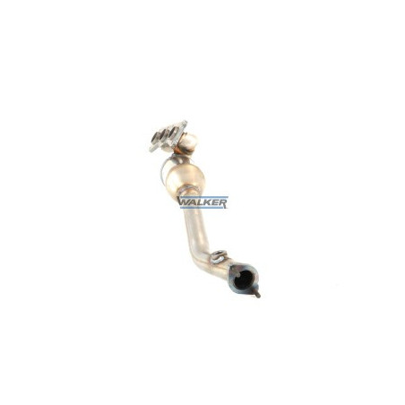 Catalyseur WALKER