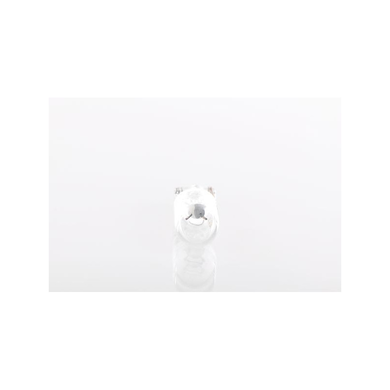 Ampoule (feu arrière / feu clignotant) BOSCH
