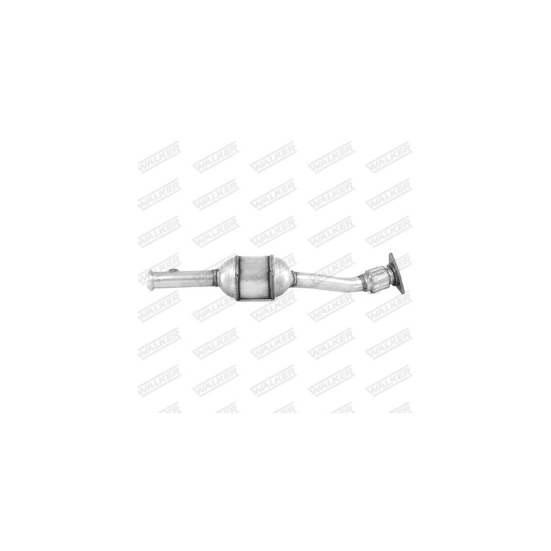 Catalyseur WALKER