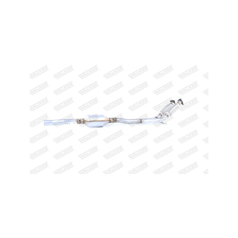 Catalyseur WALKER