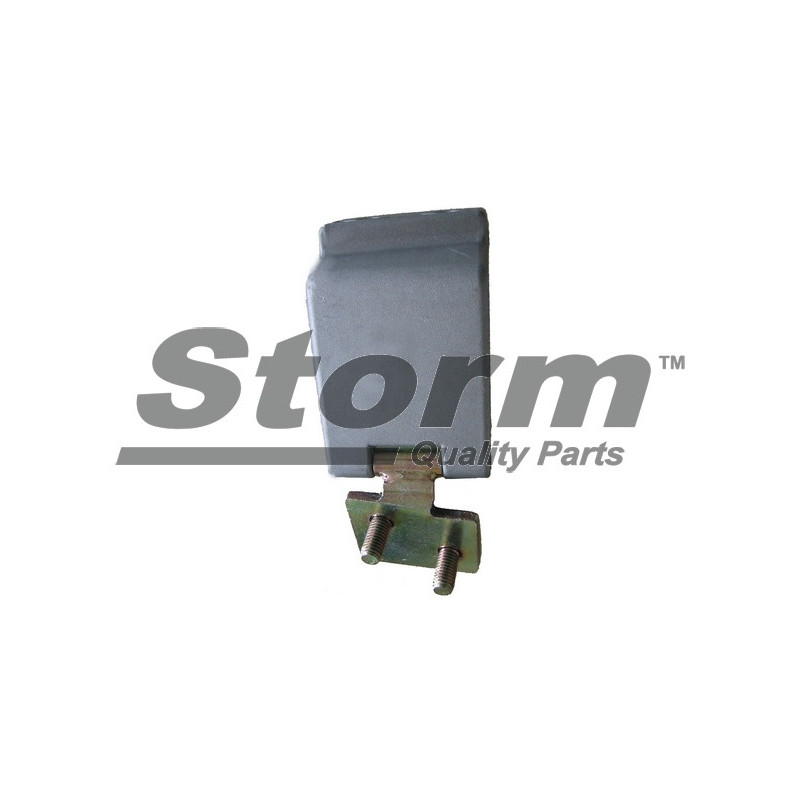 Charnière de porte STORM