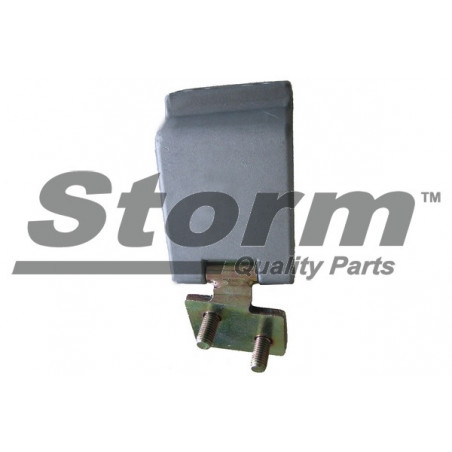 Charnière de porte STORM