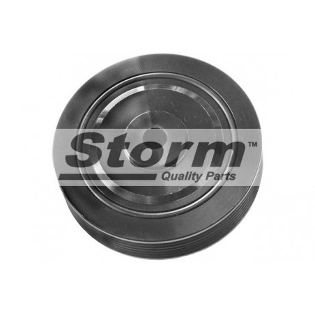 Poulie damper STORM