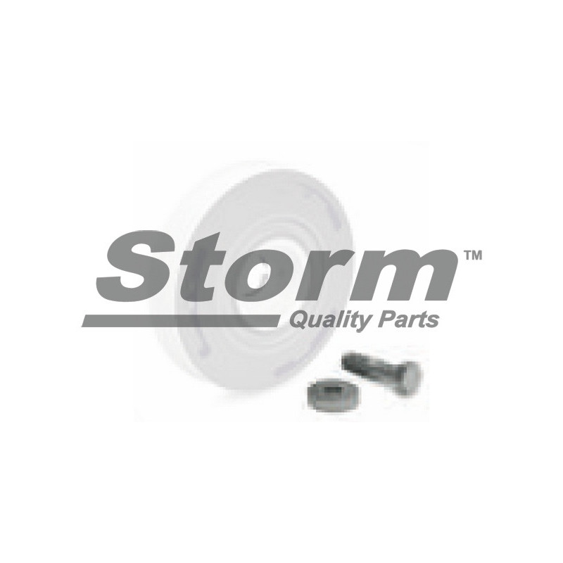 Poulie damper STORM