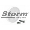 Poulie damper STORM