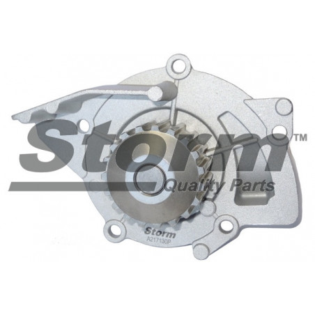 Pompe à eau STORM