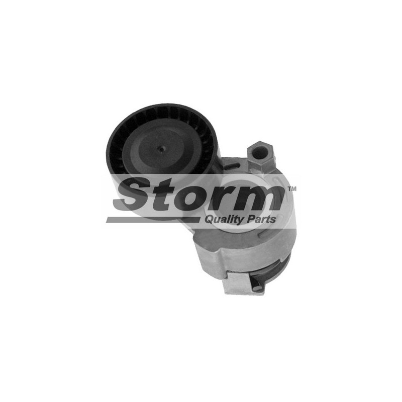 Galet tendeur (courroie d'accessoire) STORM