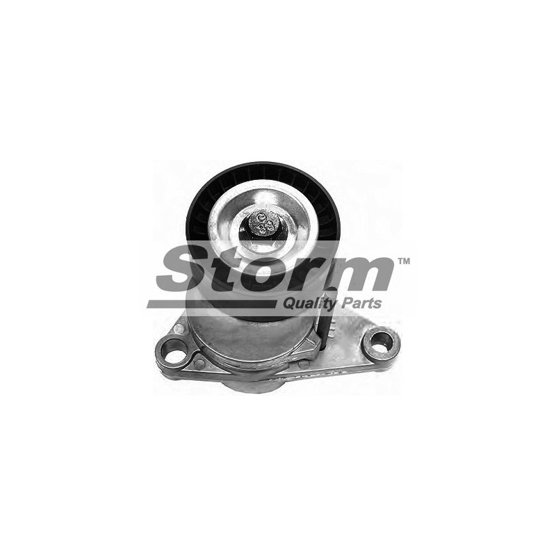 Tendeur de courroie (courroie d'accessoire) STORM