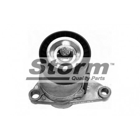 Tendeur de courroie (courroie d'accessoire) STORM