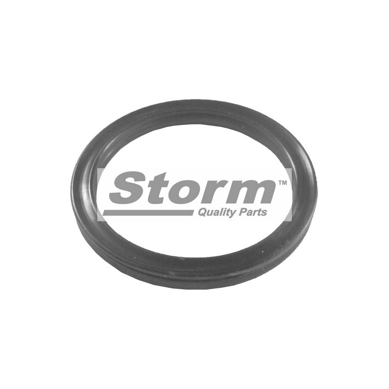 Joint d'étanchéité (tuyau liquide de refroidissement) STORM