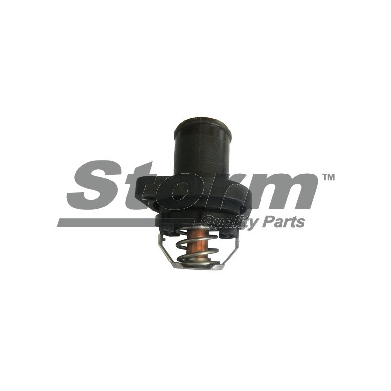 Thermostat d'eau STORM