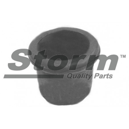Bouchon d'étanchéité/de protection STORM