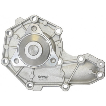 Pompe à eau STORM