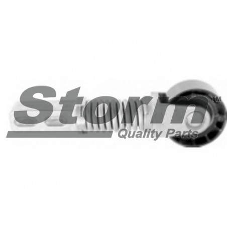Tendeur de courroie (courroie d'accessoire) STORM
