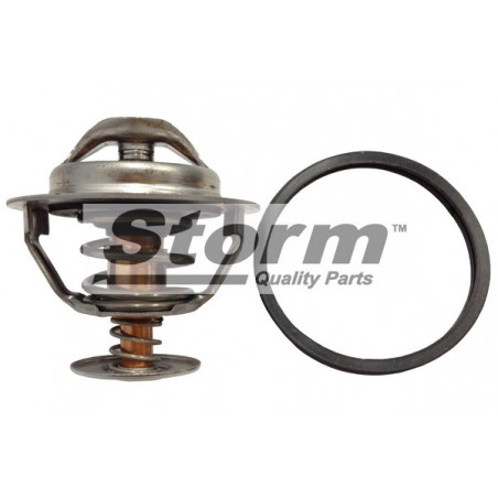 Thermostat d'eau STORM