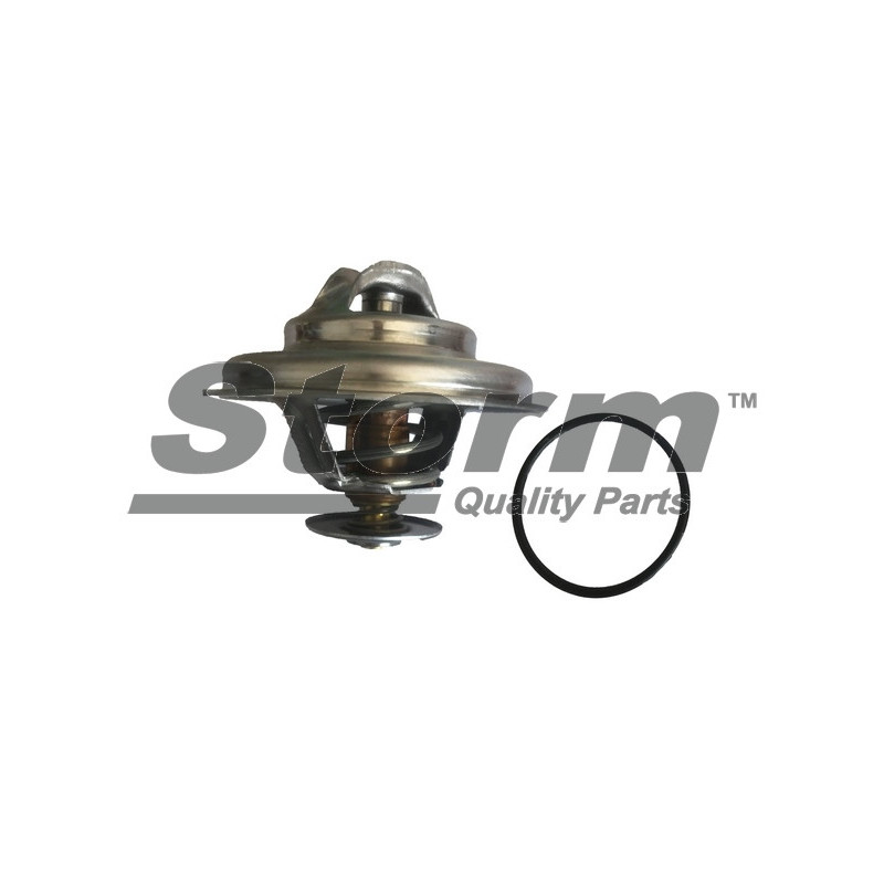 Thermostat d'eau STORM