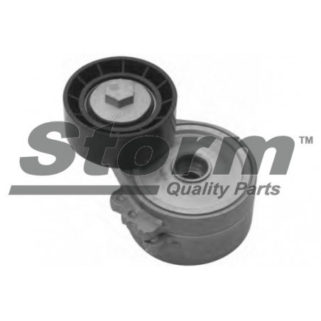 Tendeur de courroie (courroie d'accessoire) STORM