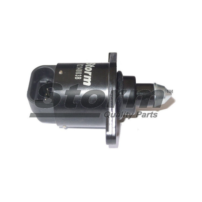 Moteur pas à pas (vanne de ralenti) STORM