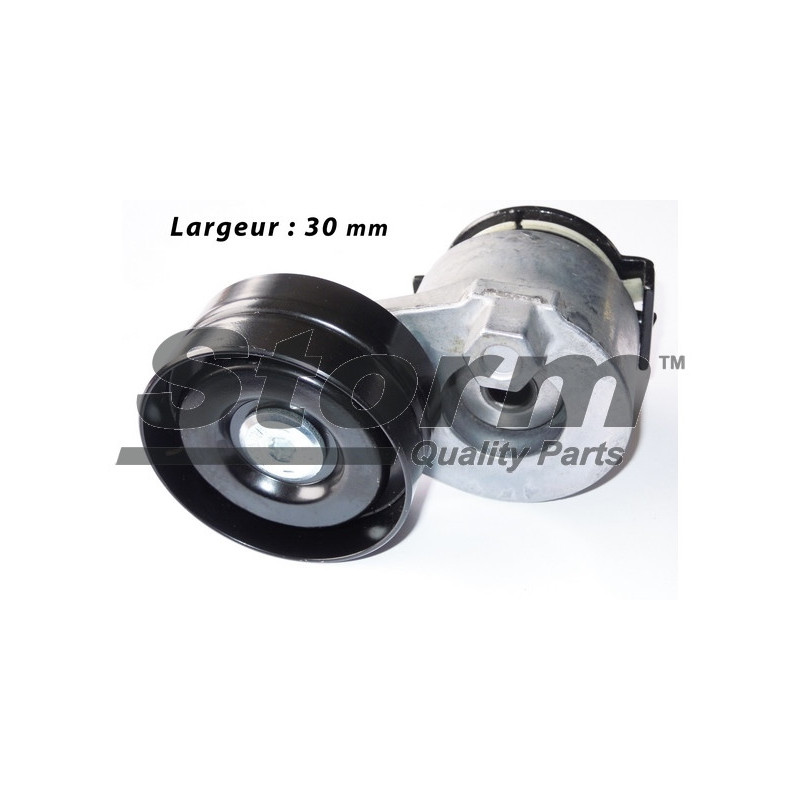 Galet tendeur (courroie d'accessoire) STORM